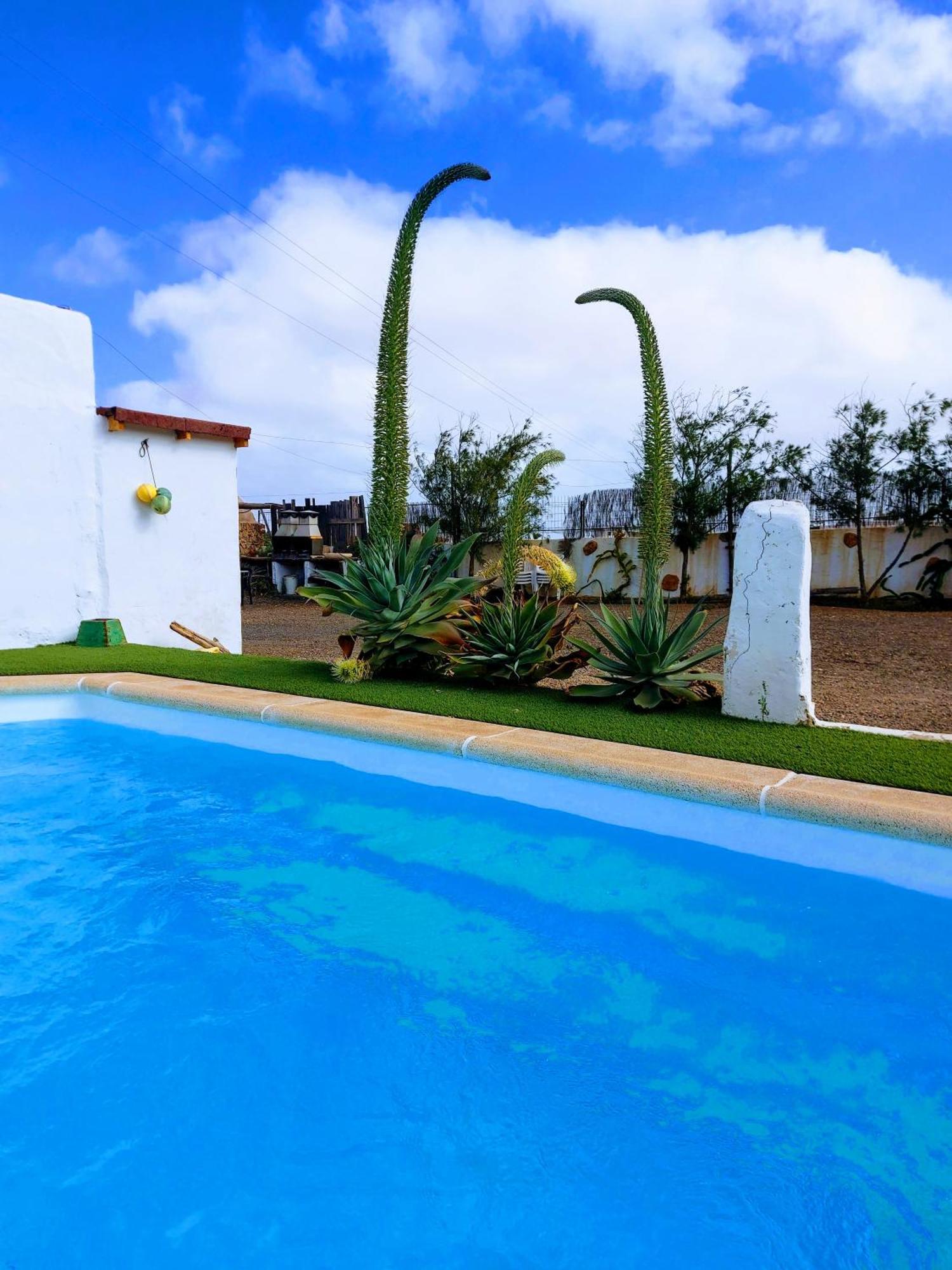 Casa Elsa Appartement