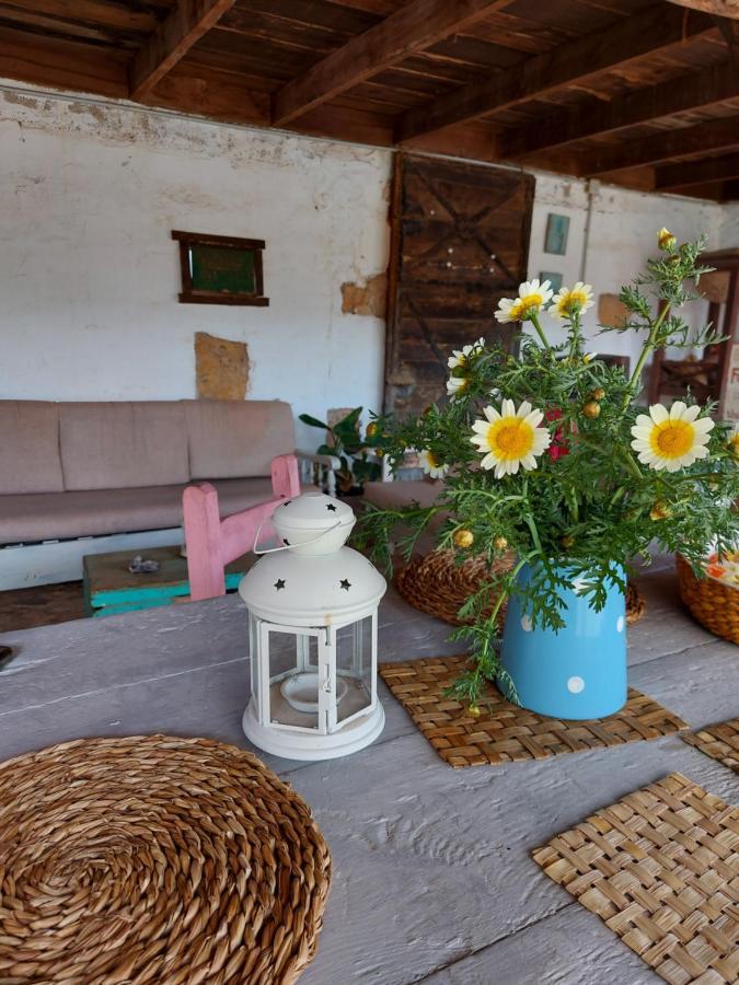 Casa Elsa * Puerto del Rosario (Fuerteventura)